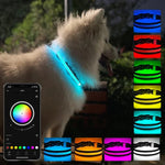 ปลอกคอส่องสว่าง LED ชาร์จไฟได้ ทนทานและกันน้ำ ขนาด: XS, S, M, L