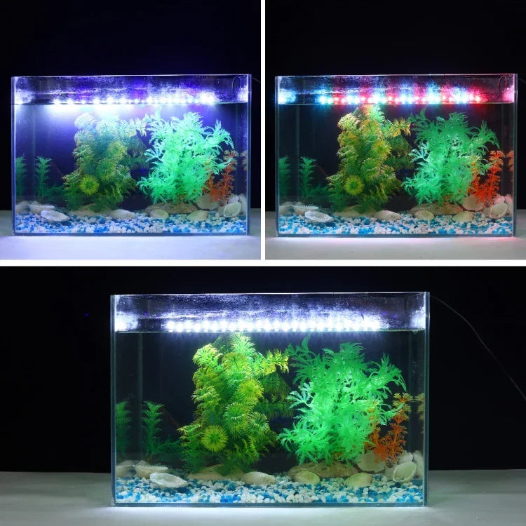 ไฟดำน้ำตู้ปลา LED 90-260V, Q20BW แสงน้ำเงิน+ขาว, Q30BW แสงน้ำเงิน+ขาว, Q40BW แสงน้ำเงิน+ขาว, Q50BW แสงน้ำเงิน+ขาว, Q60BW แสงน้ำเงิน+ขาว, Q20CF แสง RGB, Q30CF แสง RGB, Q40CF แสง RGB, Q50CF แสง RGB