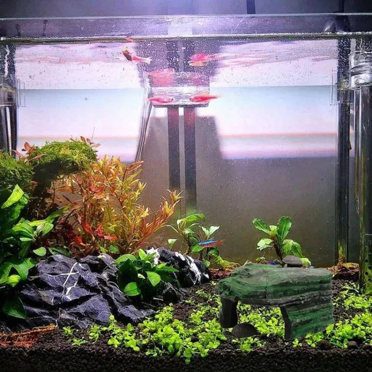 ข้อความอธิบายรูปภาพ