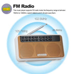Rolton E500 ลำโพงบลูทูธ 2.1 ช่อง พร้อมไมโครโฟนในตัว รองรับวิทยุ FM