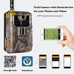 กล้องล่าสัตว์ 36MP 4K 4G พร้อมแอปควบคุมระยะไกลผ่านมือถือ ดูภาพถ่าย/วิดีโอได้ทุกเวลา, HC-900Pro