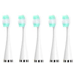 หัวแปรงเปลี่ยนสำหรับเครื่องขูดฟันไฟฟ้า สีขาวพื้นฐาน, สีขาวพิเศษ, สีดำพื้นฐาน, สีดำพิเศษ, สีเขียวพื้นฐาน, สีเขียวพิเศษ, หัวแปรงสีขาว 5 ชิ้น, หัวแปรงสีดำ 5 ชิ้น, หัวแปรงสีเขียว 5 ชิ้น