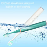 หัวแปรงเปลี่ยนสำหรับเครื่องขูดฟันไฟฟ้า สีขาวพื้นฐาน, สีขาวพิเศษ, สีดำพื้นฐาน, สีดำพิเศษ, สีเขียวพื้นฐาน, สีเขียวพิเศษ, หัวแปรงสีขาว 5 ชิ้น, หัวแปรงสีดำ 5 ชิ้น, หัวแปรงสีเขียว 5 ชิ้น