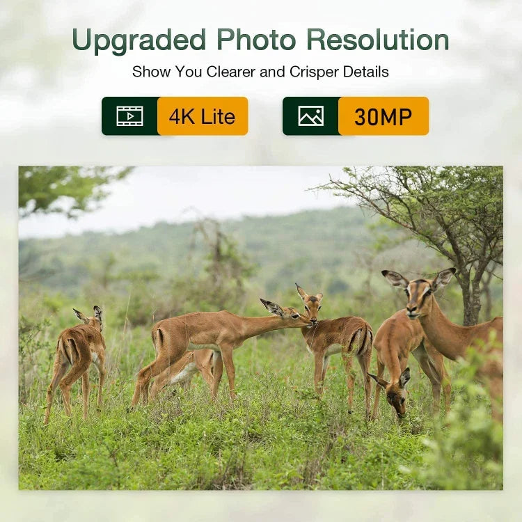 HC-801Pro กล้องล่าสัตว์กลางแจ้ง 4K 4G พร้อมแอปควบคุมระยะไกลผ่านมือถือ ดูภาพถ่ายและวิดีโอได้ทุกเวลา ปลั๊กยุโรป, ปลั๊กสหรัฐ, ปลั๊กออสเตรเลีย