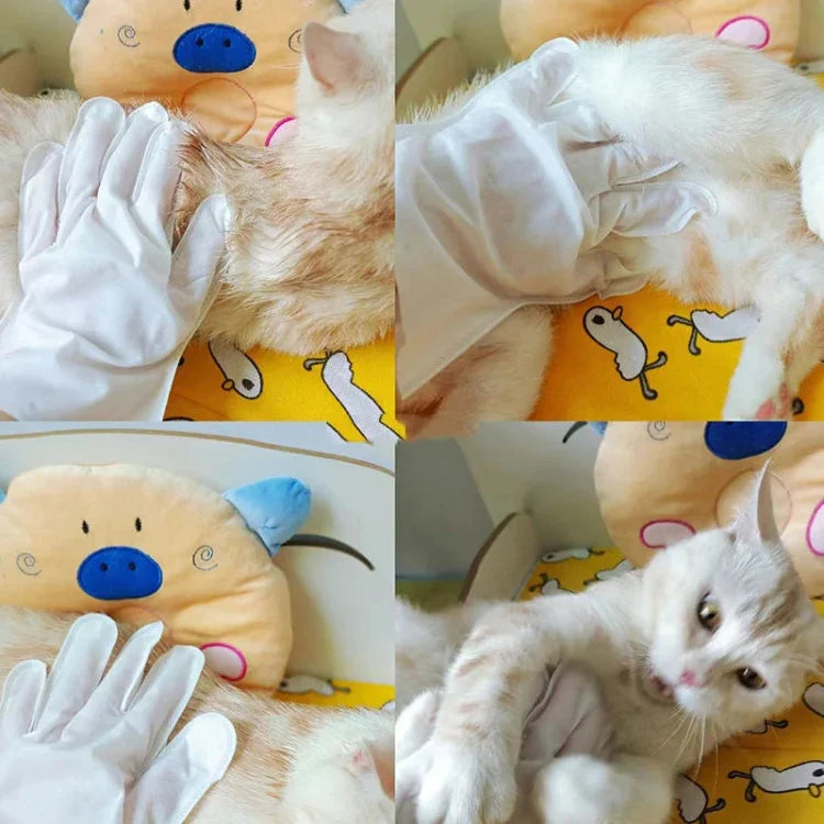 ถุงมือเช็ดทำความสะอาดสัตว์เลี้ยง KIMHOME ไม่ต้องล้าง สุนัขและแมว อาบน้ำ ขจัดกลิ่น ทำความสะอาดแห้ง อุปกรณ์สัตว์เลี้ยง 6 ชิ้น/แพ็ค