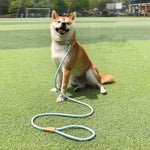 สายจูงสุนัขขนาดกลางถึงใหญ่ พร้อมหัวเข็มขัดนิรภัยแบบสากล โซ่วงกลม, 1.5ม. x 0.6ซม., 1.5ม. x 0.8ซม., 1.5ม. x 1ซม., 1.8ม. x 0.6ซม., 1.8ม. x 0.8ซม., 1.8ม. x 1ซม.