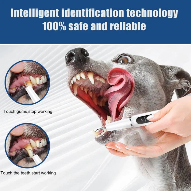 Pet Ultrasonic Teeth Cleaner Dog Electric Teeth Cleaning Tool Home Dentistry Tartar Remover