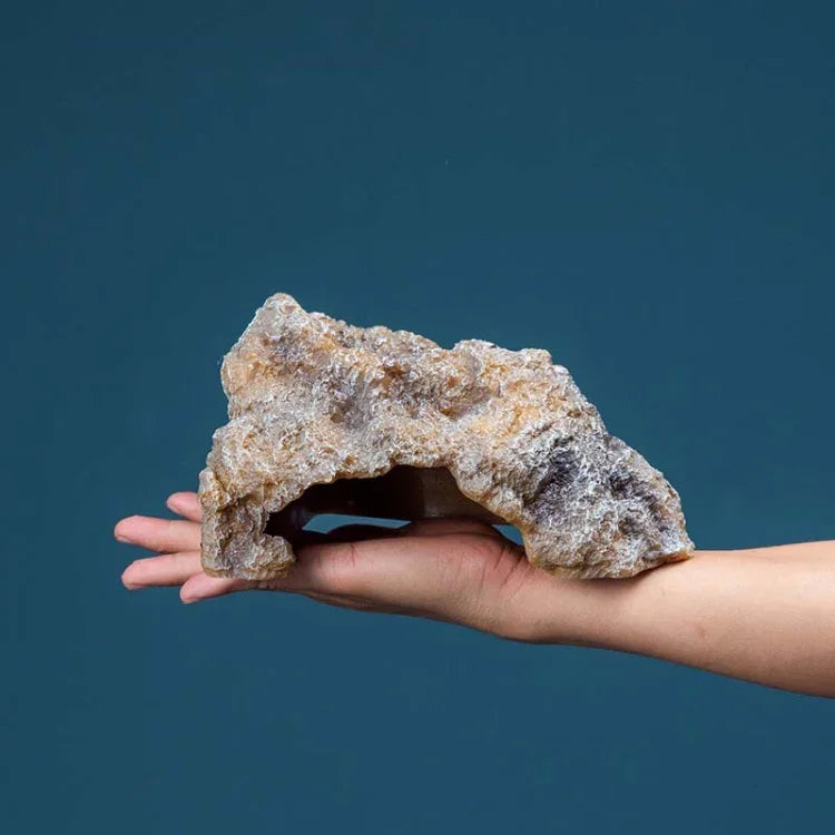 ข้อความอธิบายรูปภาพ