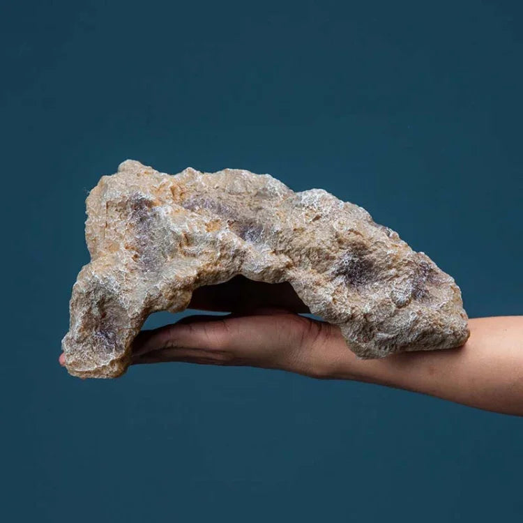 ข้อความอธิบายรูปภาพ