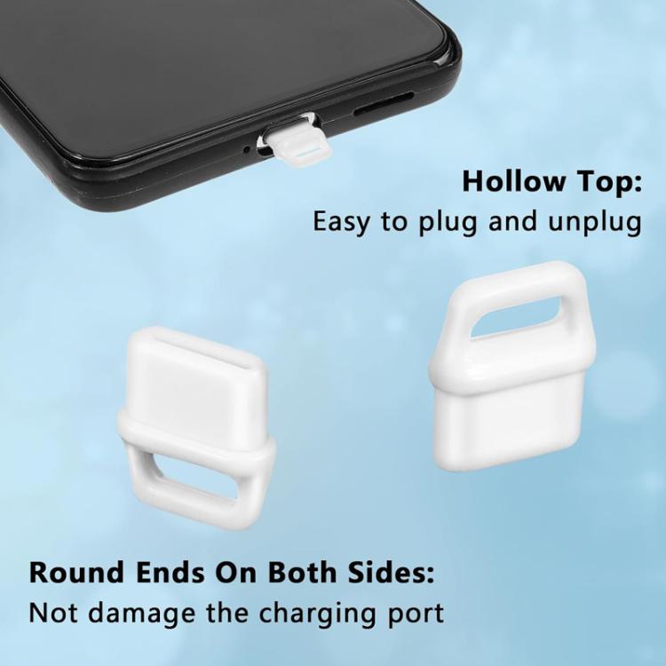 USB-C Charging Port Phone Dust Plug Lanyard Cleaning Brush Set
