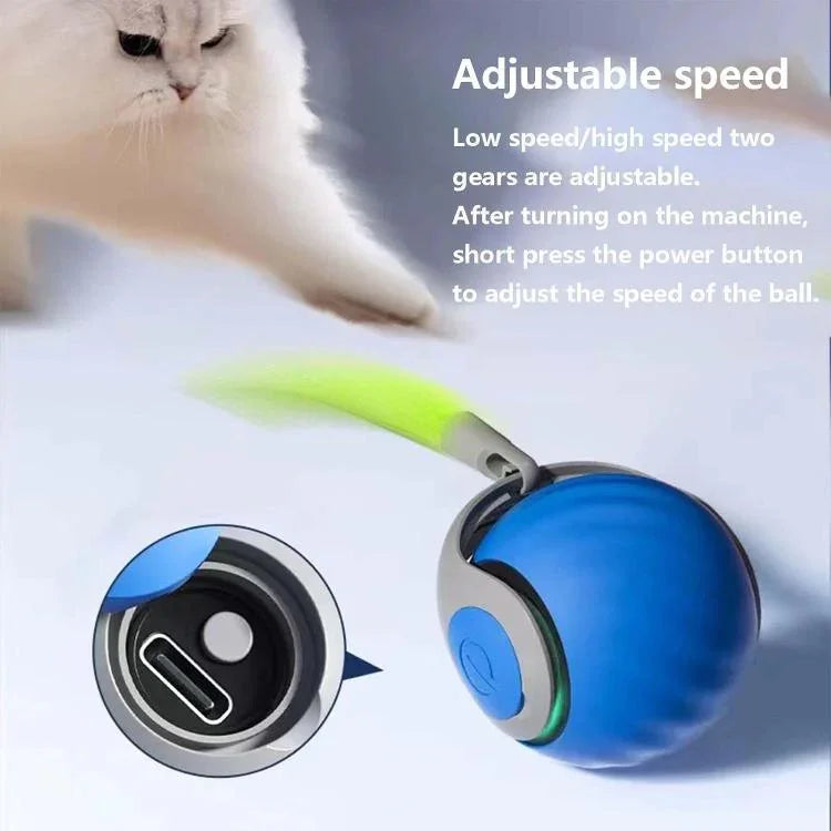 ของเล่นแมวแบบลูกบอลหมุนอัตโนมัติแบบโต้ตอบ ชาร์จ USB ปรับความเร็วได้สองระดับ, TUTU สีส้ม, TUTU สีน้ำเงิน