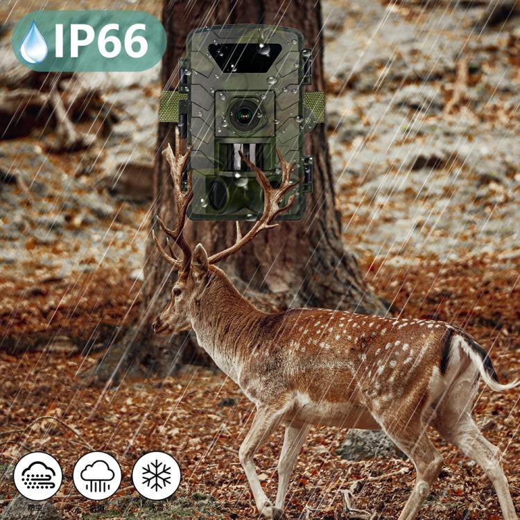 กล้องล่าสัตว์วิดีโอ 8K ความคมชัดสูง 60MP พร้อม Wifi รุ่น PR803W