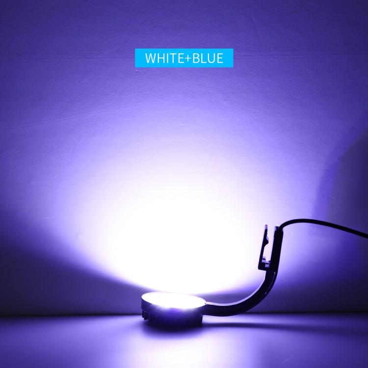 ไฟ LED คลิปตู้ปลา 5W สีฟ้า-ขาว พร้อม 12 LEDs ใช้พลังงาน USB สำหรับพืชน้ำ หญ้าน้ำ และตู้ขนาดเล็ก, 220V, 110V