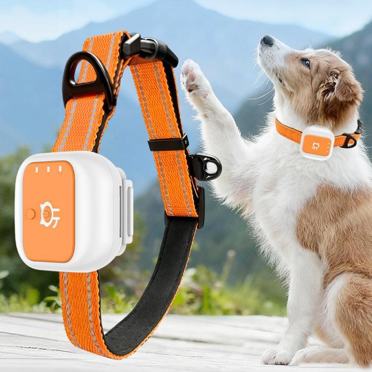 ปลอกคอสัตว์เลี้ยงแจ้งเตือนรั้วอิเล็กทรอนิกส์ SOS ตำแหน่ง GPS/WIFI แบบเรียลไทม์