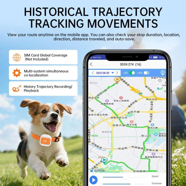 ปลอกคอสัตว์เลี้ยงแจ้งเตือนรั้วอิเล็กทรอนิกส์ SOS ตำแหน่ง GPS/WIFI แบบเรียลไทม์