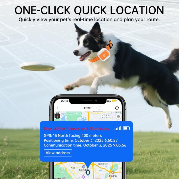 ปลอกคอสัตว์เลี้ยงแจ้งเตือนรั้วอิเล็กทรอนิกส์ SOS ตำแหน่ง GPS/WIFI แบบเรียลไทม์