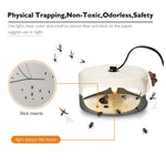 Flea Trap Pet Home Flea Lamp, US Plug, UK Plug, EU Plug, AU Plug, JP Plug