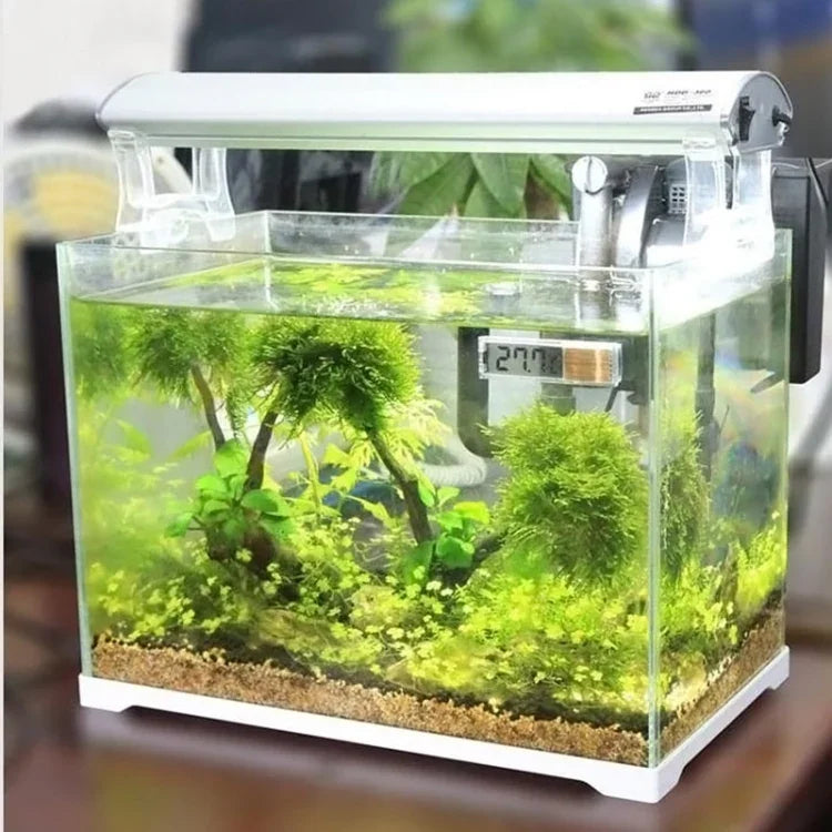 画像代替テキスト