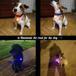 ปลอกคอสุนัขและแมว พร้อมจี้เรืองแสง LED สำหรับตกแต่ง