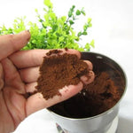 เครื่องบดกาแฟไฟฟ้าสแตนเลสแบบปลั๊ก EU อเนกประสงค์ บดสมุนไพร/เครื่องเทศ/ถั่ว/ธัญพืช/เมล็ดกาแฟ เครื่องบดกาแฟ ปลั๊ก EU