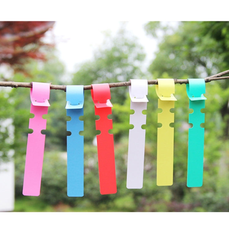 ป้ายต้นไม้แขวนเมล็ดพันธุ์ต้นกล้า 100 ชิ้น ป้ายต้นไม้ 5 สีเหลือง, ป้ายต้นไม้ 5 สีเขียว, ป้ายต้นไม้ 5 สีน้ำเงิน, ป้ายต้นไม้ 5 สีแดง, ป้ายต้นไม้ 5 สีขาว, ป้ายต้นไม้ 5 สีชมพู