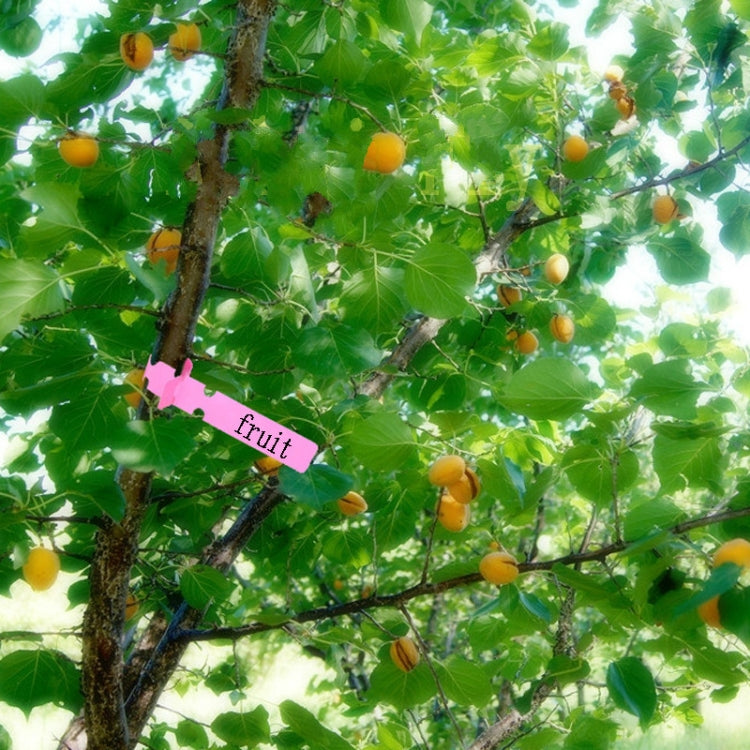 ข้อความอธิบายรูปภาพ