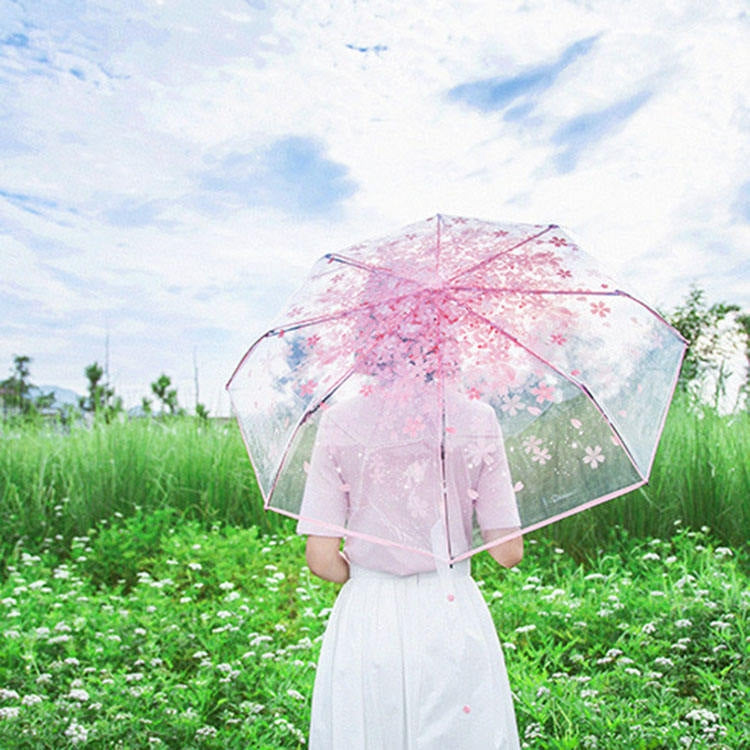ร่มพับสามตอนใสลายดอกซากุระ ร่มพับเดี่ยวสำหรับใช้ส่วนตัว