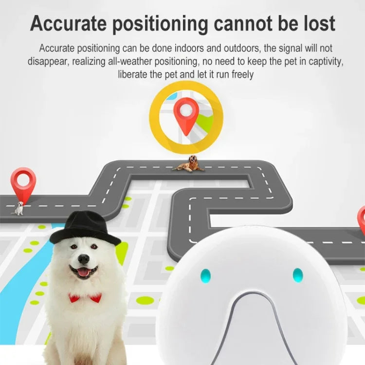 F9 เครื่องสวมใส่อัจฉริยะขนาดเล็กสำหรับสัตว์เลี้ยง GPS ตัวระบุตำแหน่งสัตว์เลี้ยง WIFI