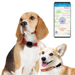 RF-V43 รุ่น A เครื่องติดตาม GPS + LBS + WiFi กันน้ำ IP67 สำหรับสัตว์เลี้ยง ปลอกคอติดตาม สำหรับเอเชีย/ยุโรป/แอฟริกา/ออสเตรเลีย, RF-V43 รุ่น A (สีดำ), RF-V43 รุ่น A (สีขาว)
