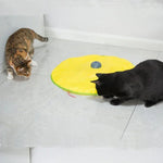 Cat Playing Board Electric Cat Turntable Automatic Cat Toy - Trustpick
