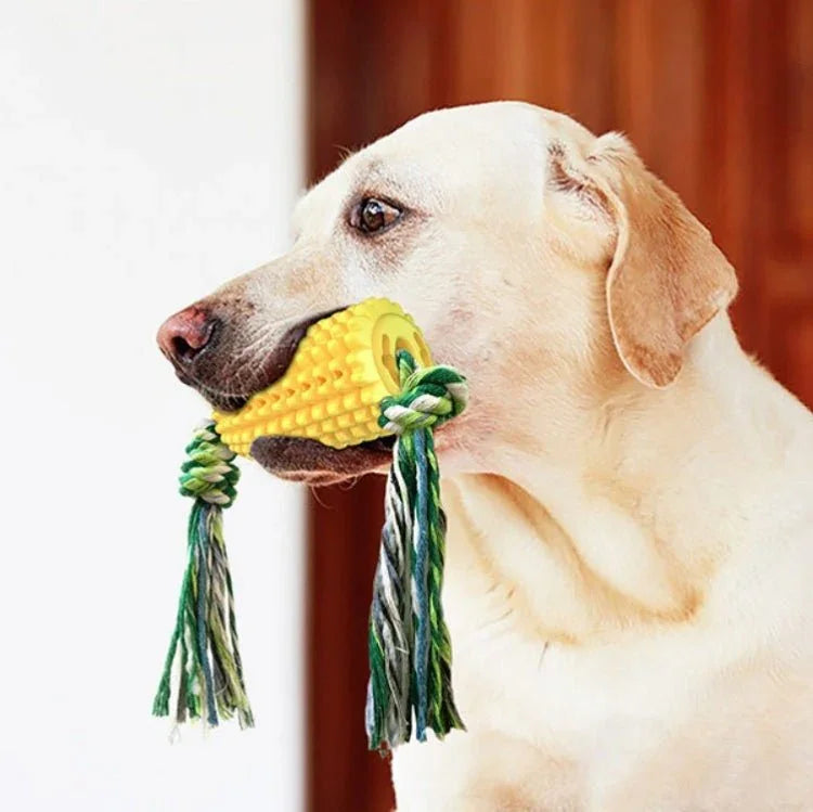 Dog Teething Stick Pet Chewing Toy - Trustpick