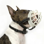 Fluorescent Dog Mouth Cover Pet Masks Anti - Bite And Bark Stopper Pet Supplies - Trustpick