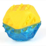 Frozen Bone Toys Pet Dog Teeth Grinding TPR Toys, Specification: Bone - Trustpick