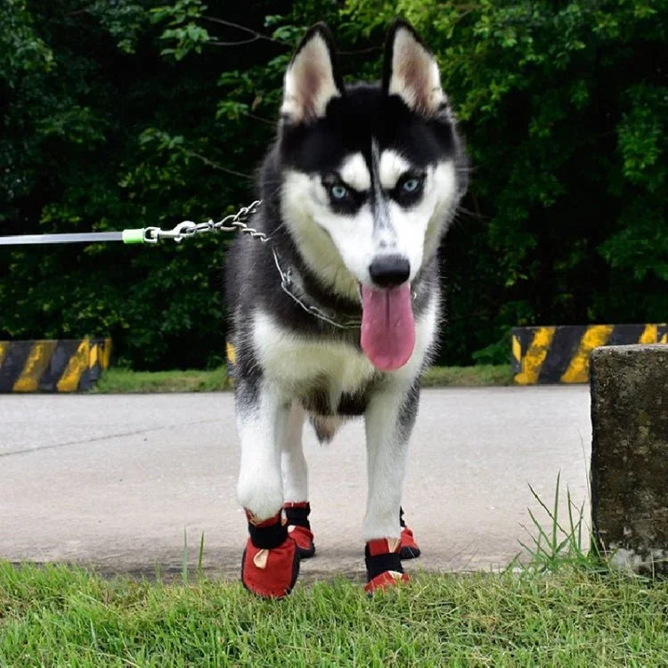 HCPET Non - Slip Wear - Resistant Pet Shoes Four Seasons Breathable Dog Shoes - Trustpick