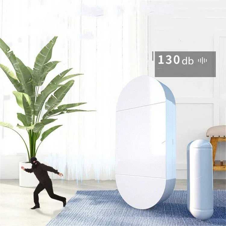 Household Door And Window Anti - theft Alarm Remote Control Wireless Door Magnetic Alarm - Trustpick