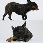 Nylon PU Dog Molar Stick Cleaning Dog Bite Toy - Trustpick