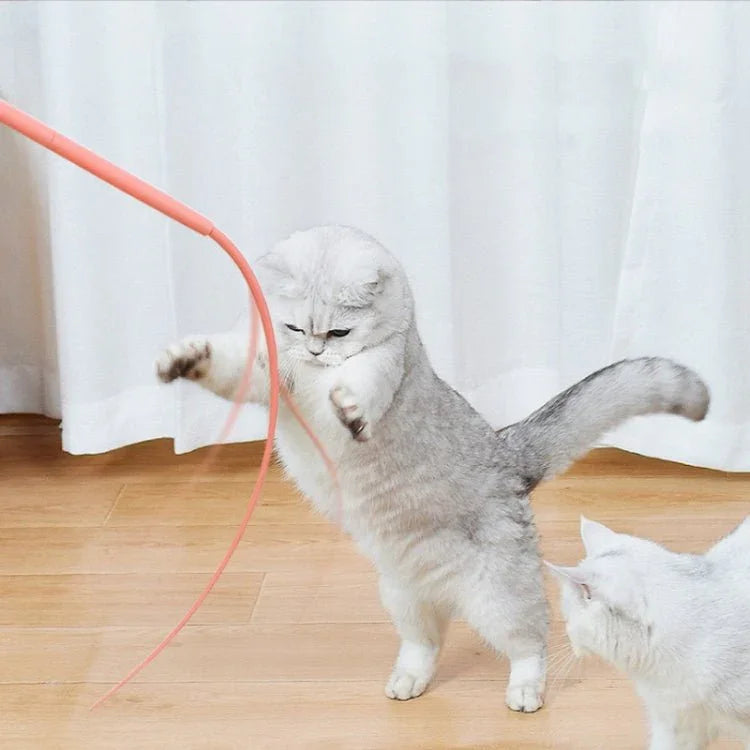 画像代替テキスト