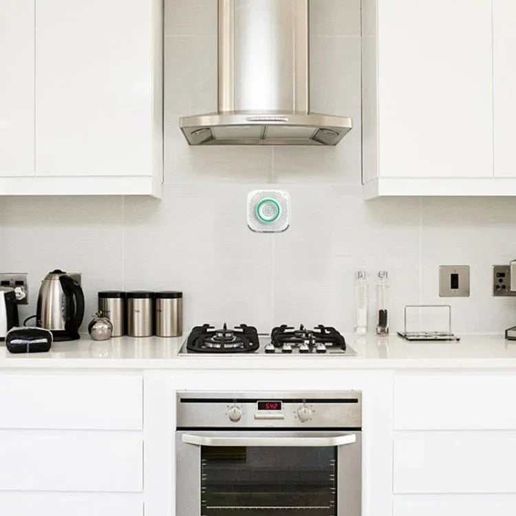 TY - GSA - 87 Smart Home WIFI Gas Detector - Trustpick